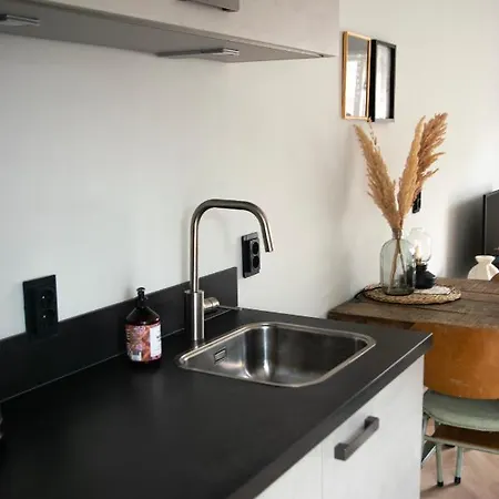 De Strandjutter Holiday home *