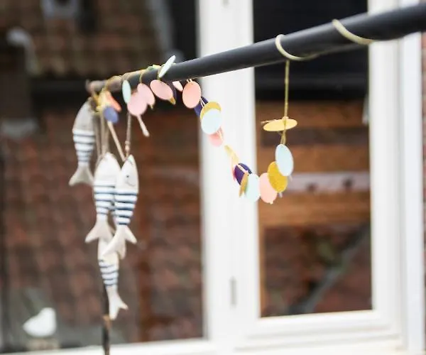 Vakantiehuis De Strandjutter