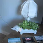 De Strandjutter * 滨海卡特韦克